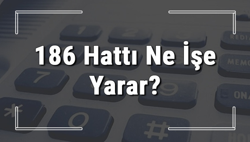 186 neyin numarası, hangi durumlarda aranır ve ne işe yarar 186 hattı saatleri nedir ve ücretli midir