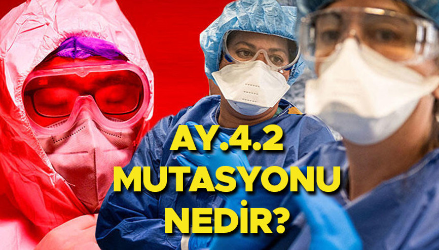 AY.4.2 nedir, nerelerde görüldü AY.4.2 coronavirüs mutasyonu ile ilgili merak edilenler AY.4.2 nedir, nerelerde görüldü AY.4.2 coronavirüs mutasyonu ile ilgili merak edilenler