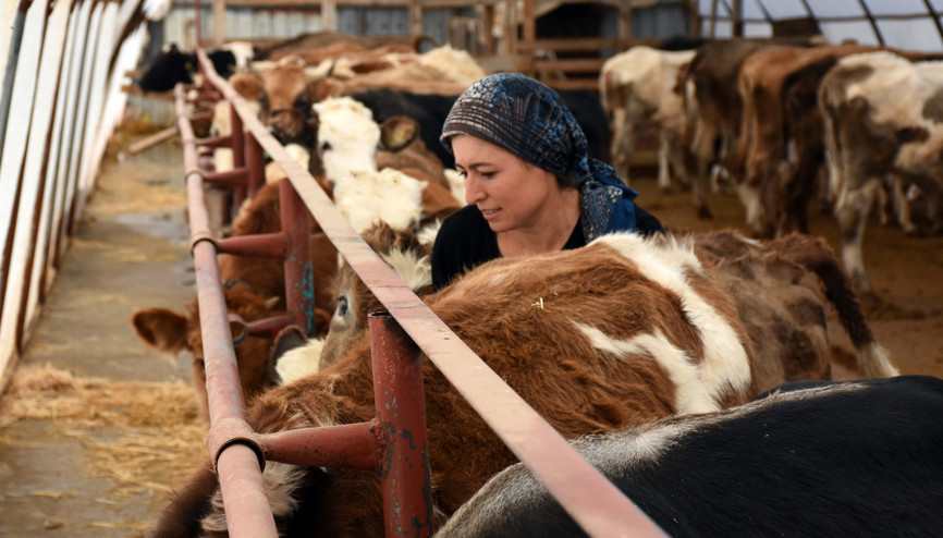Üniversite mezunu kız kardeşler devletten destek aldı Şimdi baba mesleğini devam ettiriyor
