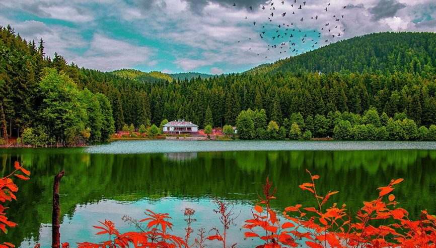 Sonbaharın renkli güzelleri: Tabiat parkları... 13 şehirden keşfedilmeyi bekleyen 17 tabiat parkı