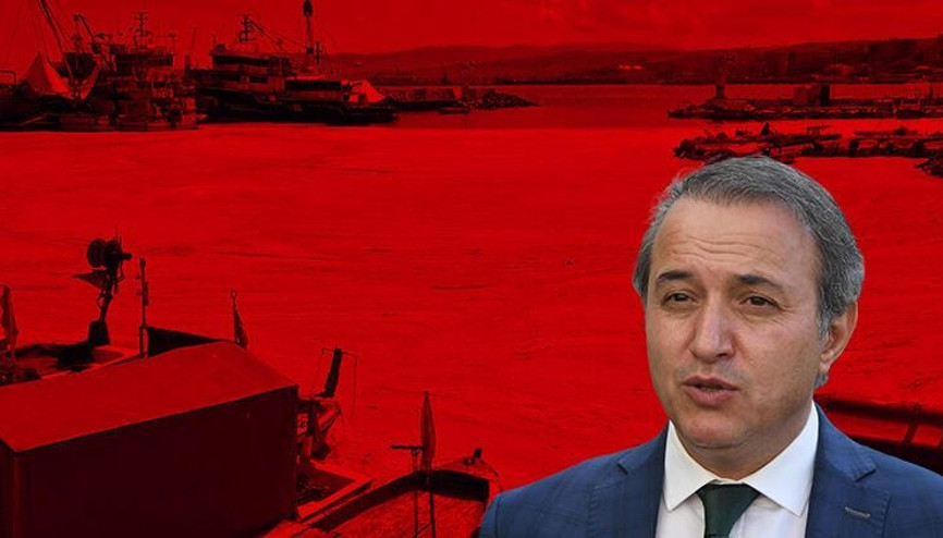 Prof. Dr. Tecer: Marmarada durağan deniz koşulları devam ettikçe müsilaj tehlikesi var
