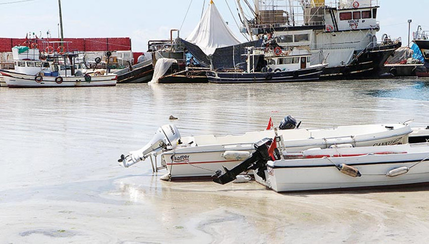 Balıkçılara müsilaj desteği