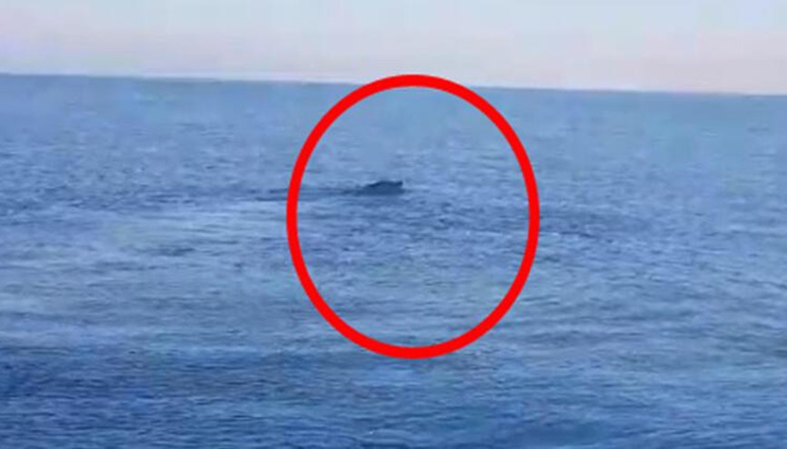 Van Gölü’nde ‘canavar’ heyecanı... Çevredekiler farketti