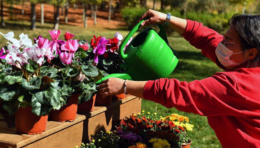 Üçüncü şube 30 Ağustos Zafer Parkı’nda