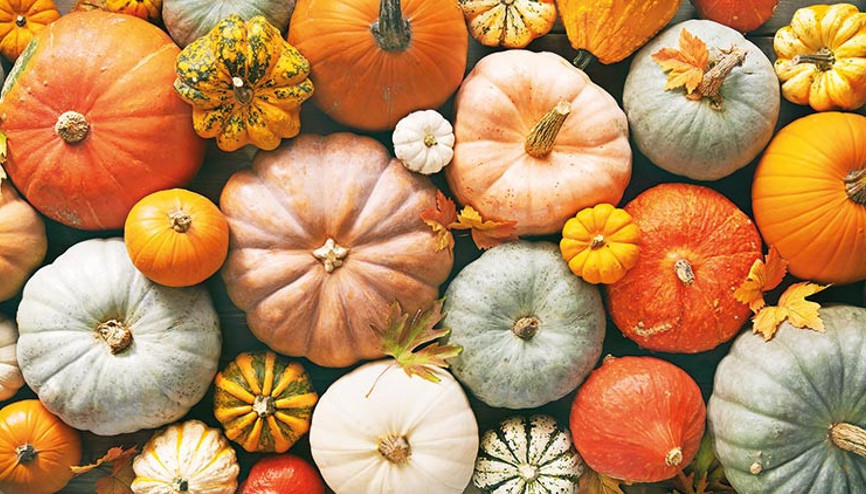 Fırından yayılan kokusu evimizi sarsın