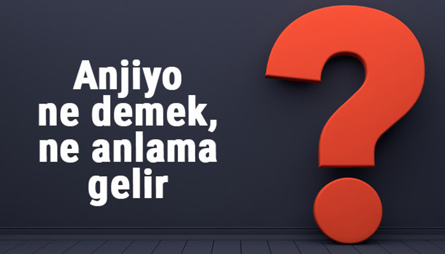 Anjiyo ne demek, ne anlama gelir Anjiyo kelimesinin TDK sözlük anlamı...