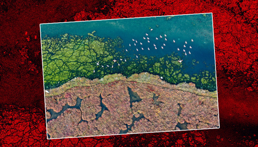 İzmirde şaşırtan manzara Görenler bir daha baktı İzmirde şaşırtan manzara Görenler bir daha baktı