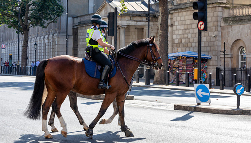 Atlı polis nasıl olunur, maaşları ne kadar Atlı polise ne denir Atlı polis nasıl olunur, maaşları ne kadar Atlı polise ne denir