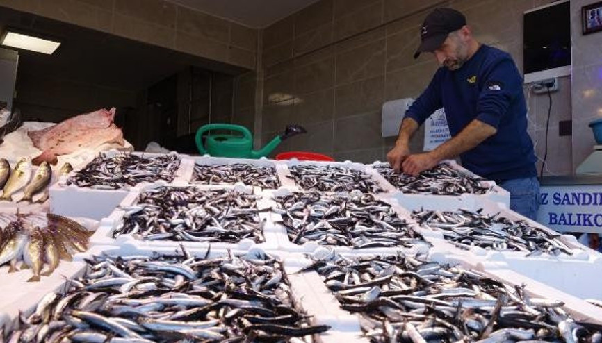 Karadeniz’de hamsi bolluğu