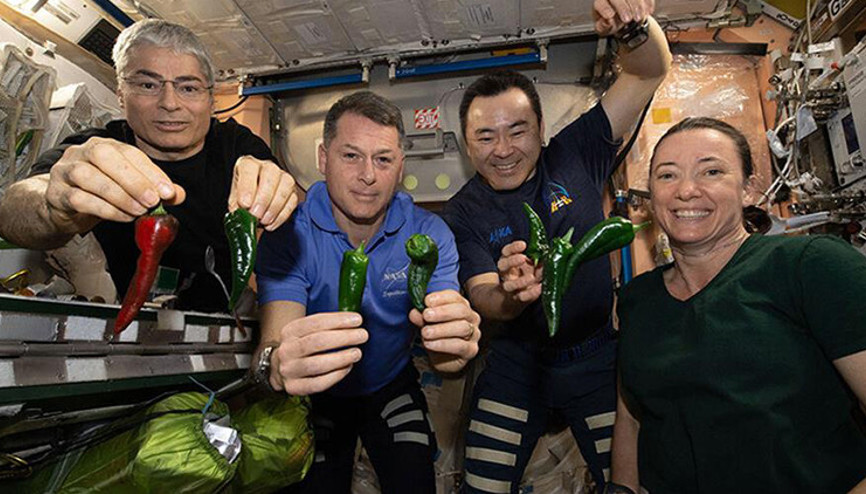 Space Xten şoke eden haber Tuvaleti bozulan mekikte astronotlara bez bağlayın talimatı