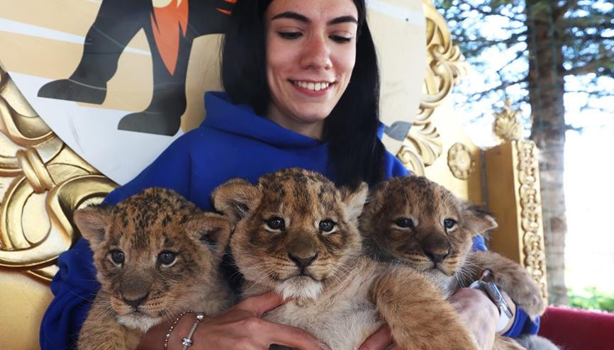 45 günlük yavrular biberonla besleniyor