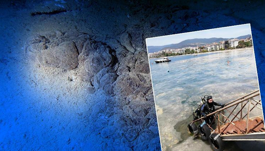 Prof.Dr. Sarı: Müsilajda korkulan durum yok, lakin alg çoğalması yaşanıyor