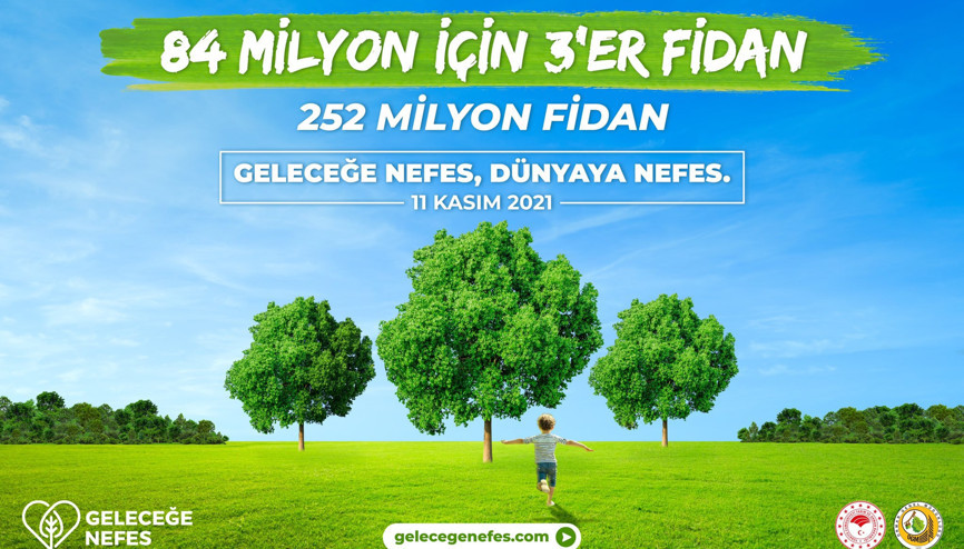 Milli Ağaçlandırma Günü nedir 11 Kasım Milli Ağaçlandırma Günü Geleceğe Nefes kampanyası detayları