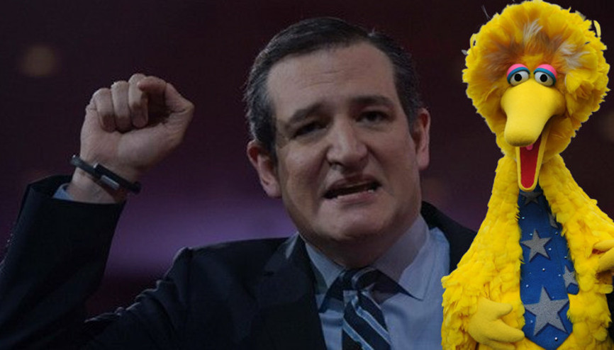 ABD’de minik kuş kavgası