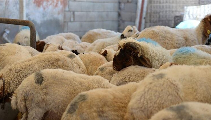 2022 Kurban Bayramı ne zaman İşte gelecek yıl Kurban Bayramı tarihi