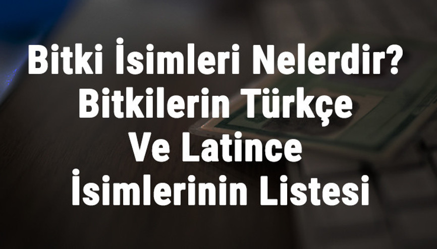 Bitki İsimleri Nelerdir Bitkilerin Türkçe Ve Latince İsimlerinin Listesi