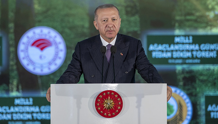 Son dakika... 11 Kasım Milli Ağaçlandırma Günü... Cumhurbaşkanı Erdoğan duyurdu: 81 ilde 81 Millet Ormanı