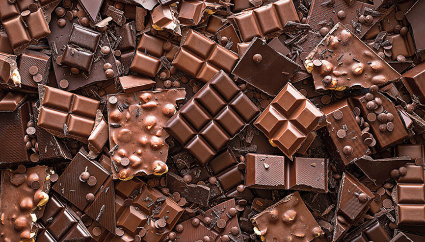 Sihirli çekirdeğin peşinde