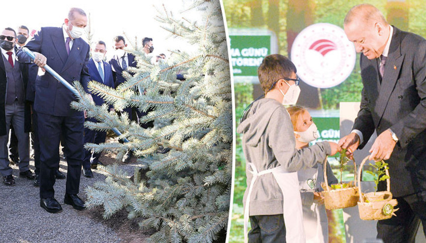 Yeşil Türkiye seferberliği... 2023’e kadar 7 milyar fidan