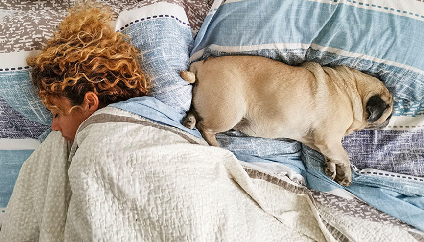 Evcil hayvanlarınızla uyuyor musunuz Bu haber sizi çok ilgilendiriyor...