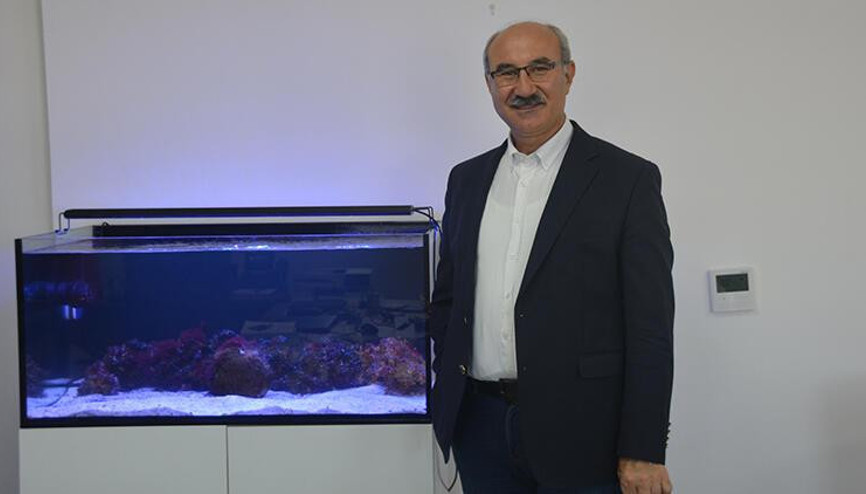 Prof. Dr. Mustafa Sarı: Lüfer bol, denizimiz kurtuldu yaklaşımı doğru değil Prof. Dr. Mustafa Sarı: Lüfer bol, denizimiz kurtuldu yaklaşımı doğru değil