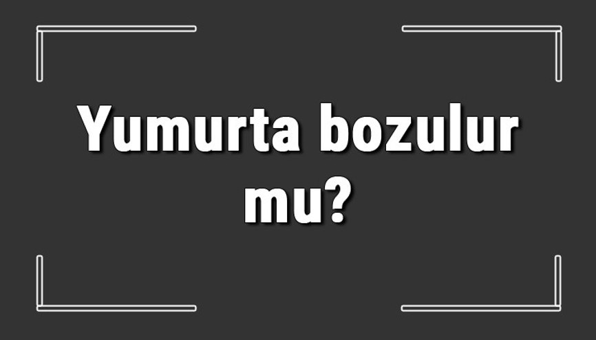 Yumurta bozulur mu Yumurta güneşte, sıcakta, donarsa ve haşlandığında bozulur mu Yumurta bozulur mu Yumurta güneşte, sıcakta, donarsa ve haşlandığında bozulur mu