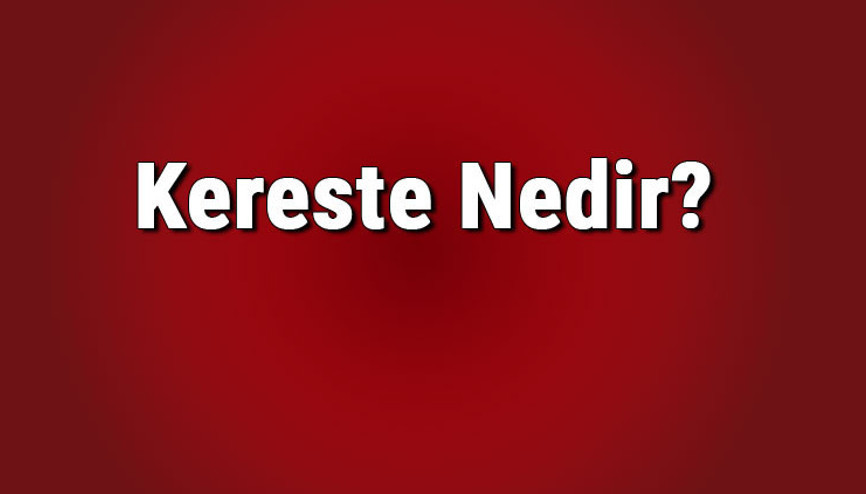 Kereste nedir, hangi ağaçtan yapılır Kereste nerelerde kullanılır