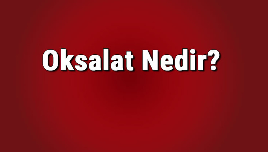 Oksalat nedir, böbrek taşı için faydalı mıdır Oksalat içeren besinler nelerdir