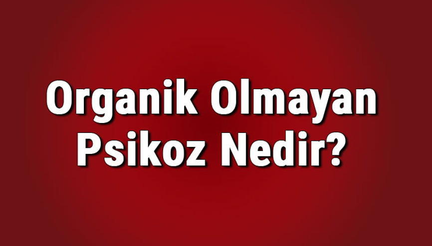 Organik olmayan psikoz nedir, belirtileri nelerdir Tanısı ve tedavi uöntemleri..