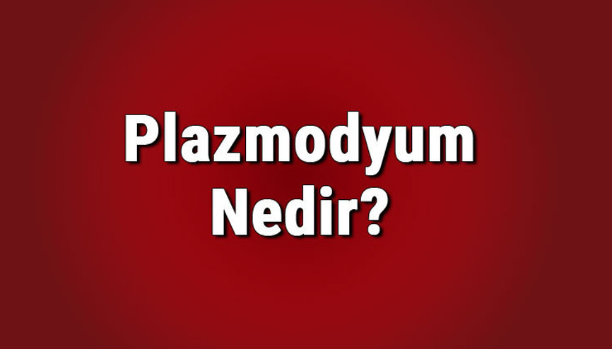 Plazmodyum nedir, hangi yollar çoğalır Sıtma mikrobu olan plazmodyum paraziti nasıl ürer, hangi hastalığa sebep olur