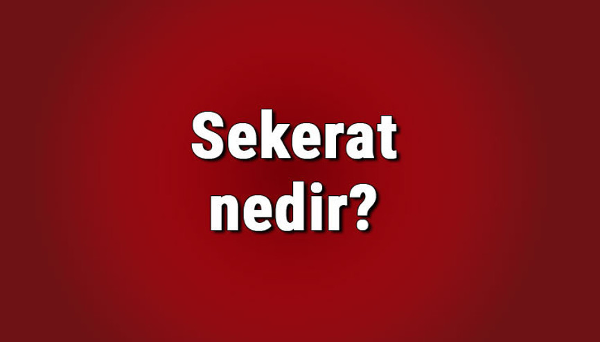 Sekerat nedir, sekeratta olmak ne demek Sekerat anında neler olur Sekerat nedir, sekeratta olmak ne demek Sekerat anında neler olur