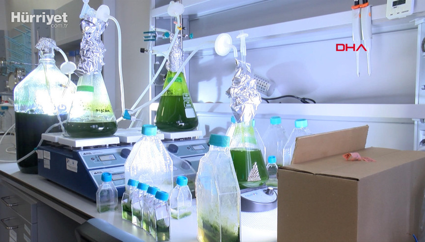 Yosundan üretilen jet yakıtı 2022de ilk kez uçaklarda kullanılacak