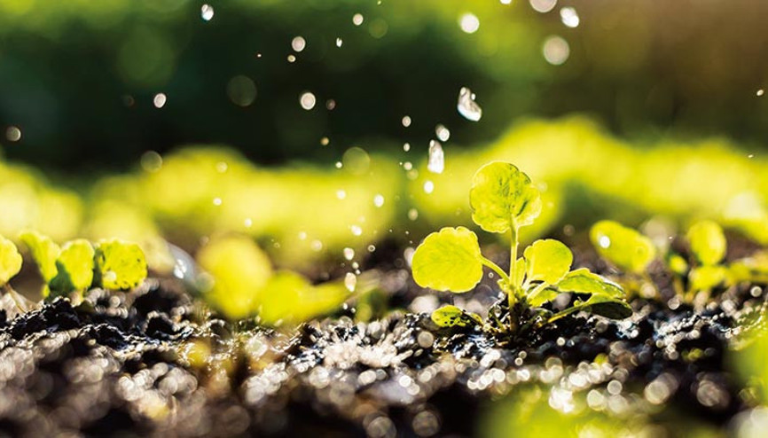 Tarım Bakanlığı’ndan ‘Kuraklık Yönetim Planı’