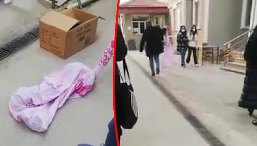 Çarşafla yurt bahçesinden çıkarılan kediler, tepki üzerine geri getirildi