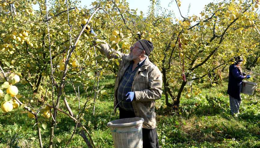 Kahramanmaraşta üretiliyor 10 ülkeye ihraç ediliyor