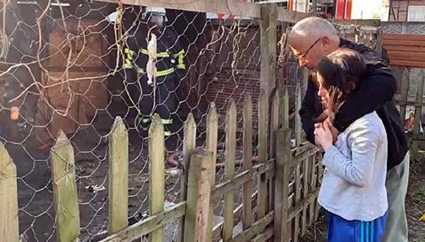 Barakada yangın Acı haber geldi: 11 yavru köpek öldü