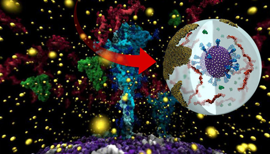 Son dakika: Bilim dünyasından bir ilk... Ve Delta ilk defa modellendi