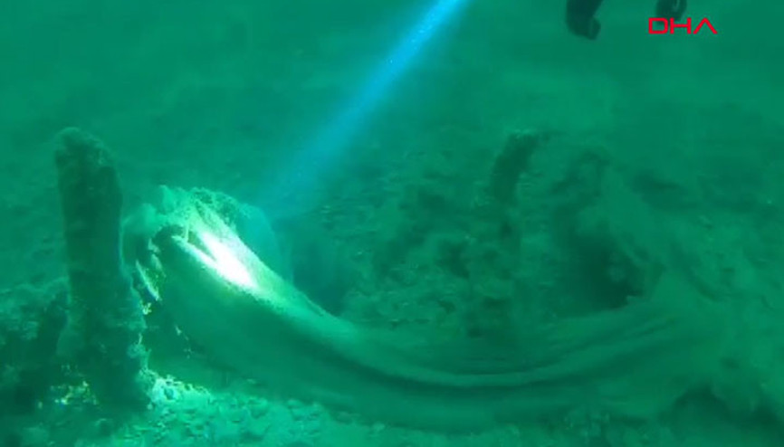 Çanakkale Boğazından 250 kilo hayalet ağ temizlendi