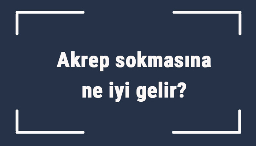 Akrep sokmasına ne iyi gelir Akrep sokmasına ne yapmak gerekir, ilk yardım nasıl yapılır