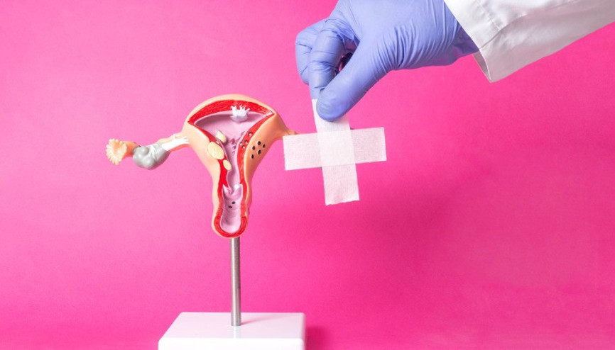 Labium Nedir, Labium Majus ve Labium Minus Ne Anlama Gelir Labium Nedir, Labium Majus ve Labium Minus Ne Anlama Gelir