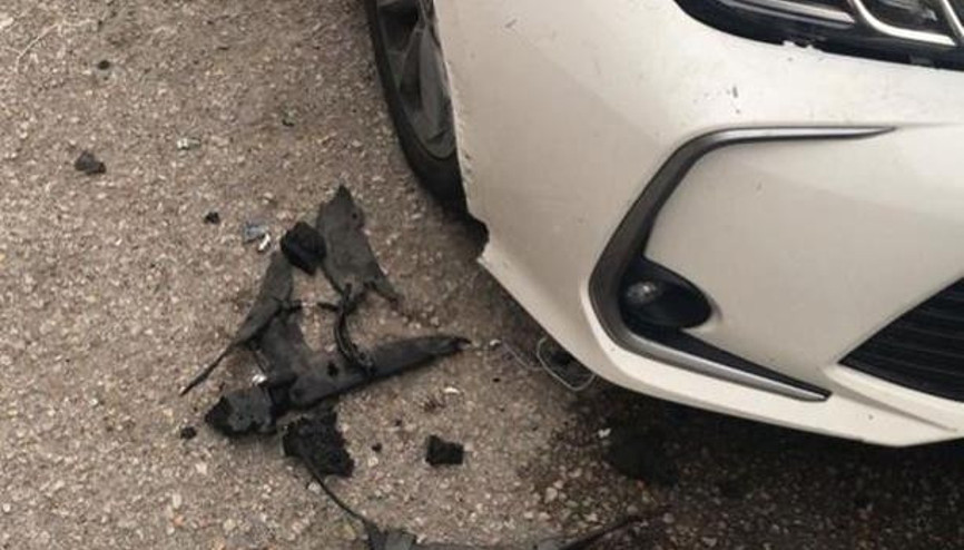 Köpekler arabanın tamponunu parçaladı