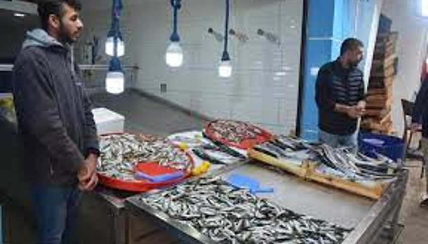 Aralıkta hangi balıklar yenir İşte Aralık ayında lezzetli olan balıklar Aralıkta hangi balıklar yenir İşte Aralık ayında lezzetli olan balıklar