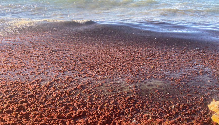 Lodos sonrası Kadıköyde şaşkına çeviren görüntü