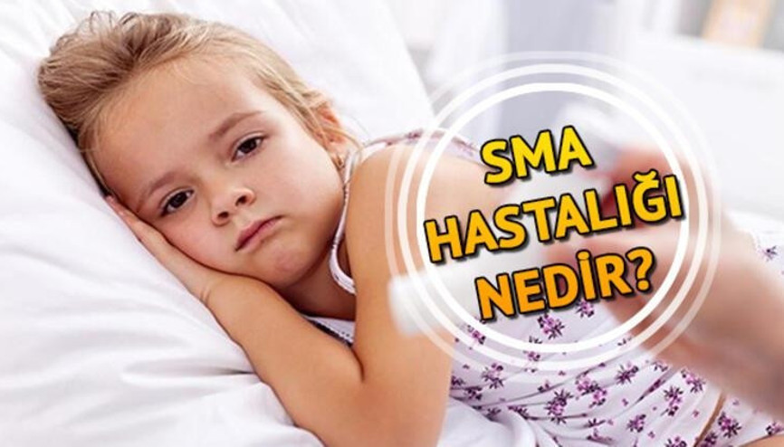 SMA taraması nedir, nasıl yapılır Evlilik öncesi SMA testi ücretli mi olacak Sağlık Bakanı Kocadan son dakika açıklamalar