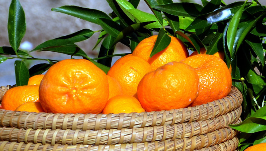 Kokusu mutfağı sarsın, rengi kalpleri ısıtsın...