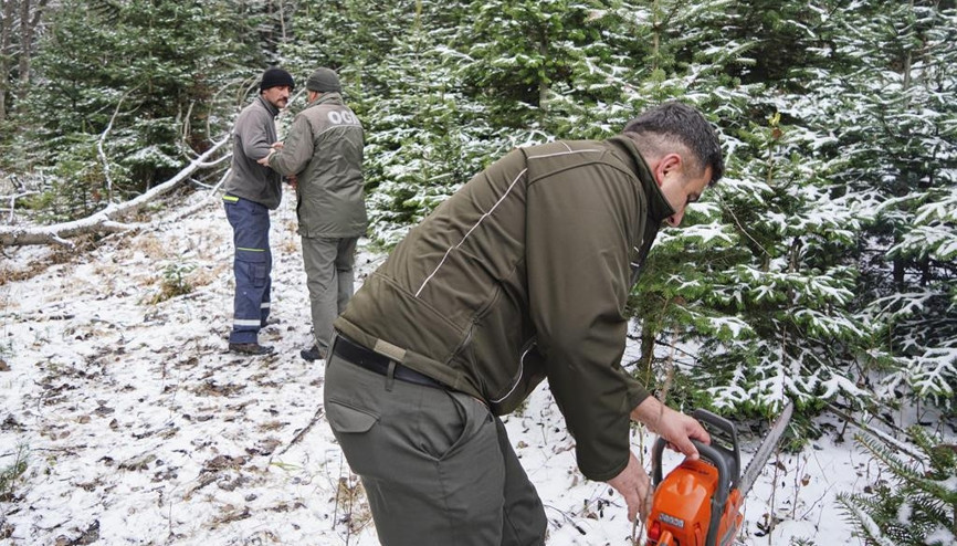 Ormancılar teyakkuzda