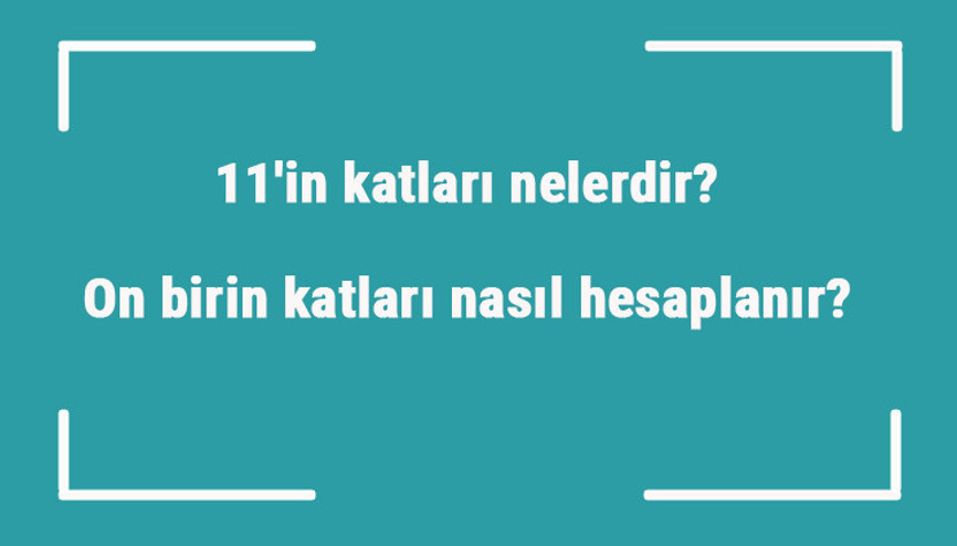 11in katları nelerdir On birin katları nasıl hesaplanır