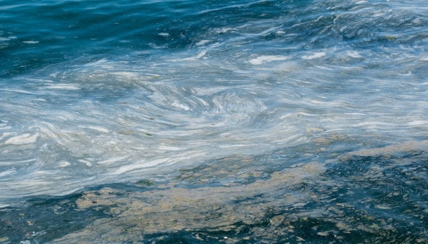 Deniz salyası nedir, neden oluşur Deniz salyası zararları ve nedenleri Deniz salyası nedir, neden oluşur Deniz salyası zararları ve nedenleri
