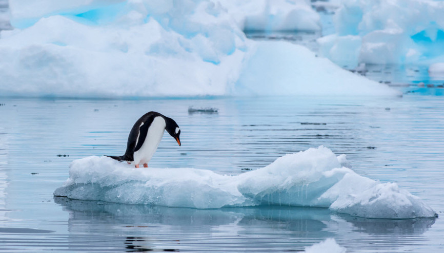 İklim krizine yönelik kaygı: Eko-anksiyete