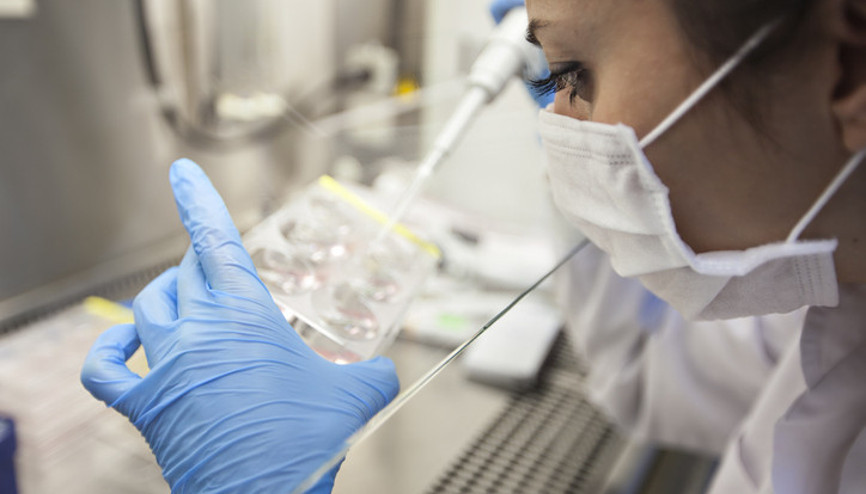 Koronavirüs test sonucu kaç saatte, günde çıkar PCR testi tahlil sonucu nasıl kontrol edilir